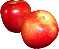 2 jazz apples clipart