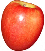 jazz apple image