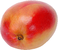 mango with transparent background