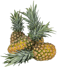 pineapples