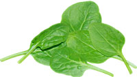 spinach