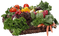 vegetables in basket