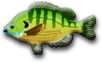 fish icons - W