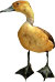 duck icon