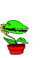 venus flytrap icon