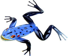 toy frog blue