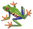 animated tree frog