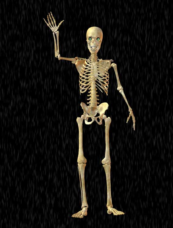 skeleton waving