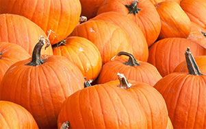 pumpkins background