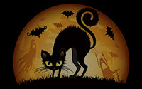 black car background halloween 1280x800