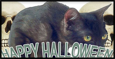 Happy Halloween black cat and skulls
