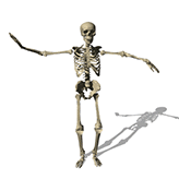 dancing skeleton animated