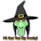 witch - I'll Get You My Pretty