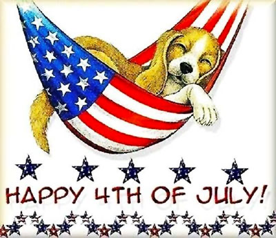 Happy 4th of July dog