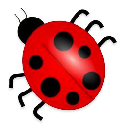 ladybug