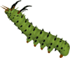 caterpillar