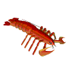 lobster