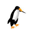 penguin gif