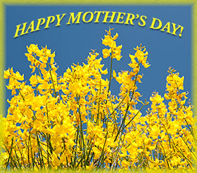 Happy Mother's Day flowers