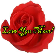 love you mom with red rose
