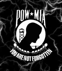 pow-mia background