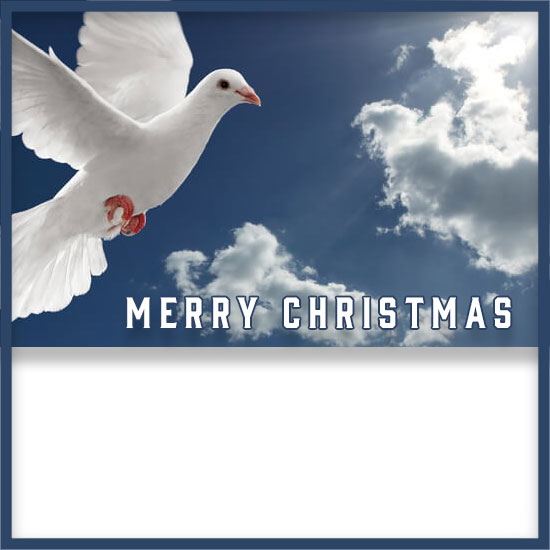 Merry Christmas dove