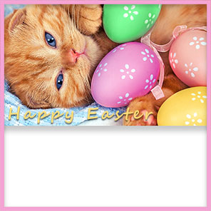 Happy Easter Kitten