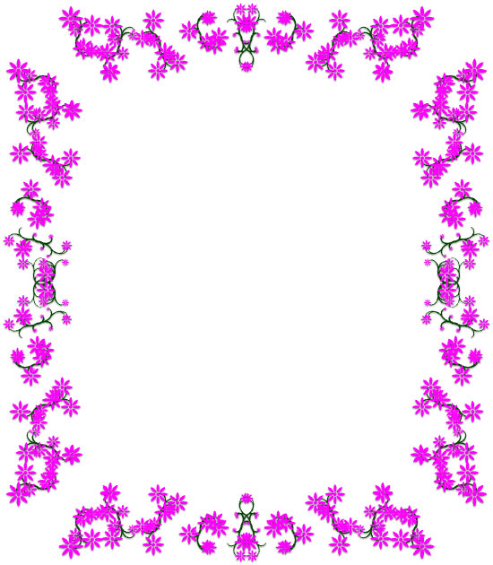 lavender flower border