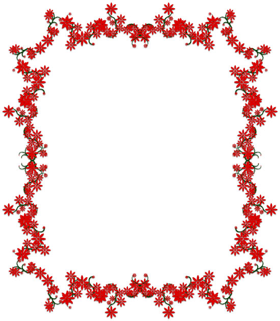 red flower border