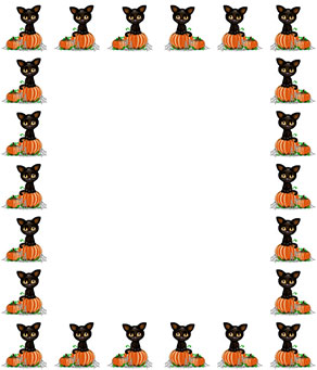 black cat