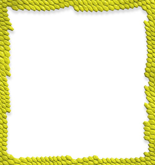 yellow black print border