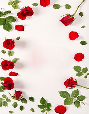 red roses frame