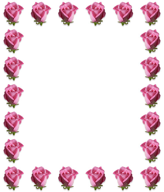 pink roses