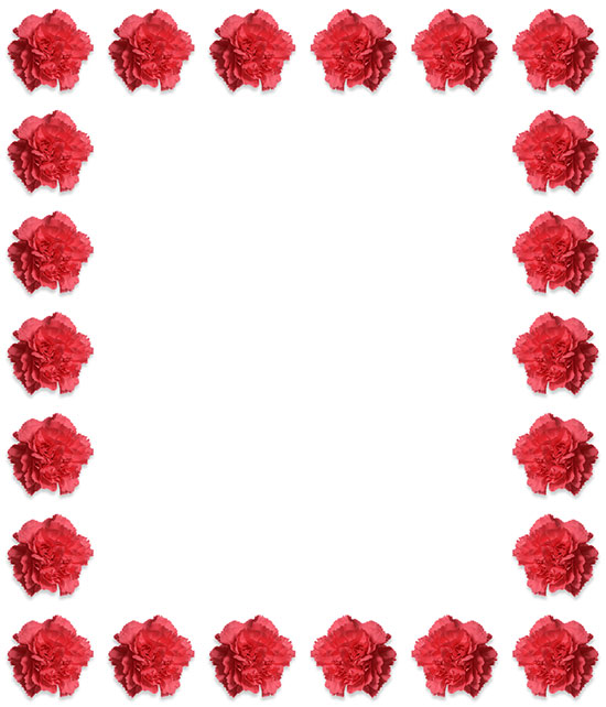 carnations