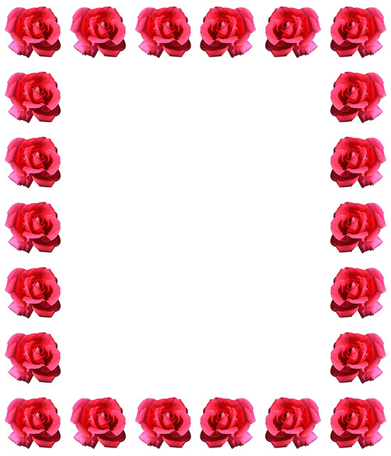 red roses