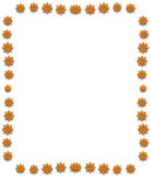 orange flowers
