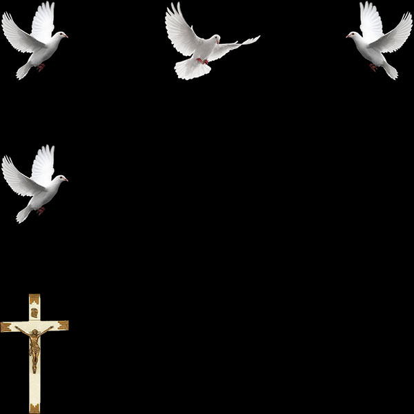 doves and cross frame border