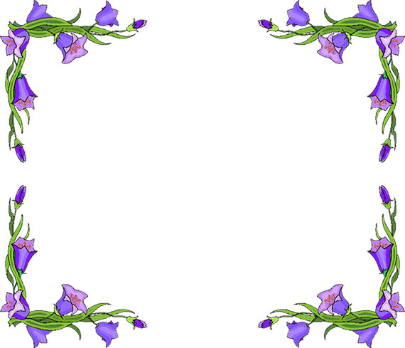 purple flowers border