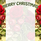 Christmas flower and fruit arrangement border