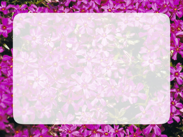 Free Flower Borders - Flower Border Clipart