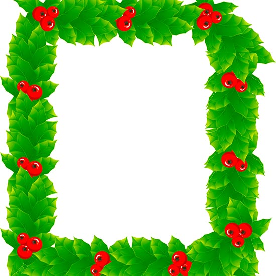 holly border