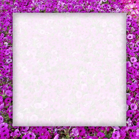 Free Flower Borders - Flower Border Clipart