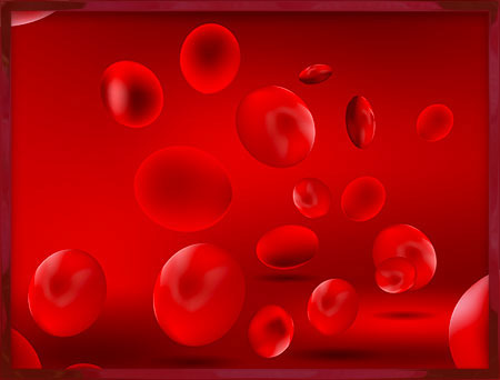 red blood cells