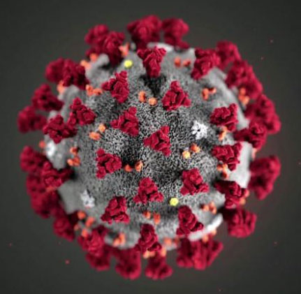 Coronavirus