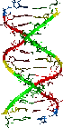 dna graphic