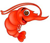 funny shrimp with big eyes