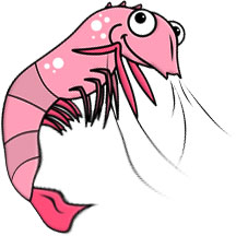 pink shrimp