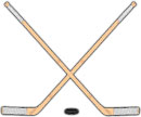 2 sticks and puck