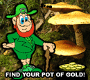 shillelagh, pot of gold, leprechaun and mushrooms