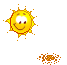 sun with growing flower